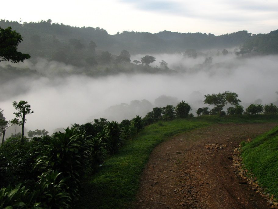 Misty coffee valleys in the northern highlands of Nicaragua
