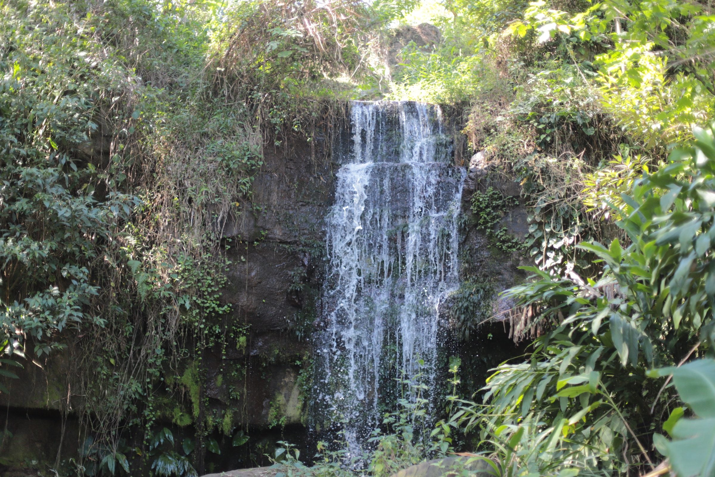 River water on the Sabio Coffee property, the source that powers the farm, Nicaragua.