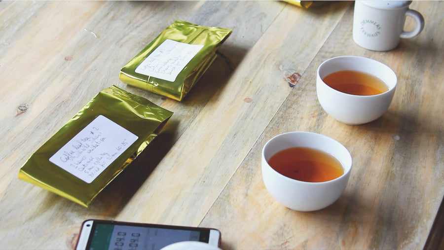 Coffee-leaf tea samples cupped and scored during testing.