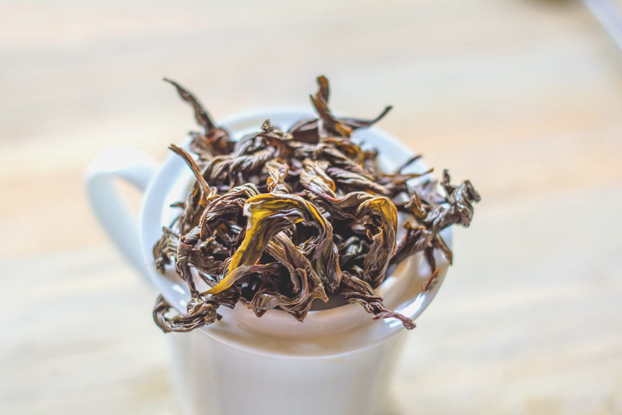 Dried, twisted coffee-leaf tea in a cup.
