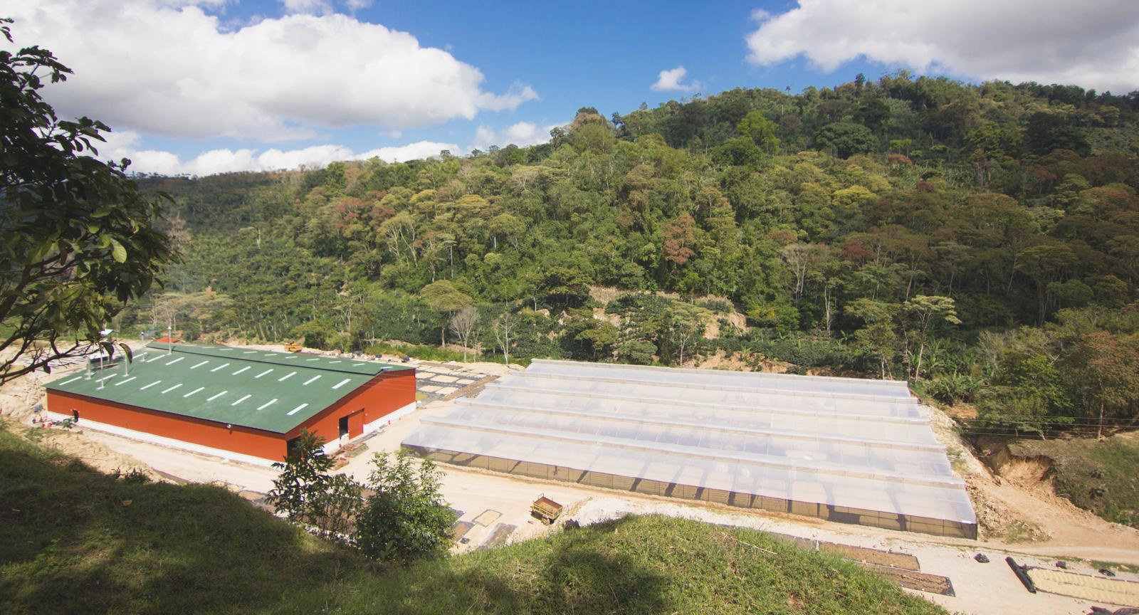 Aerial view of the Sabio Coffee mill and covered drying beds set into the Nicaraguan cloudforest.