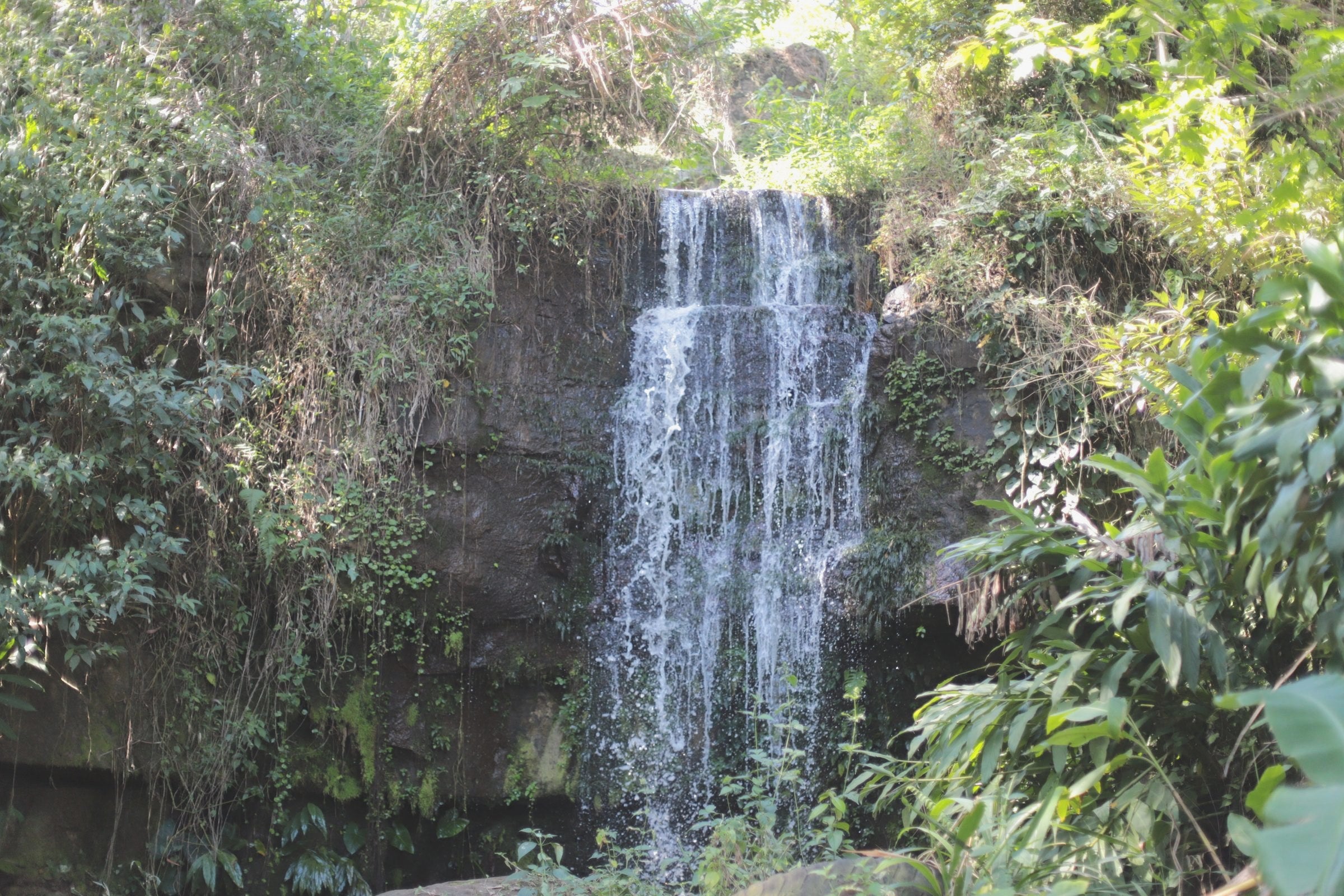 River water on the Sabio Coffee property, the source that powers the farm, Nicaragua.