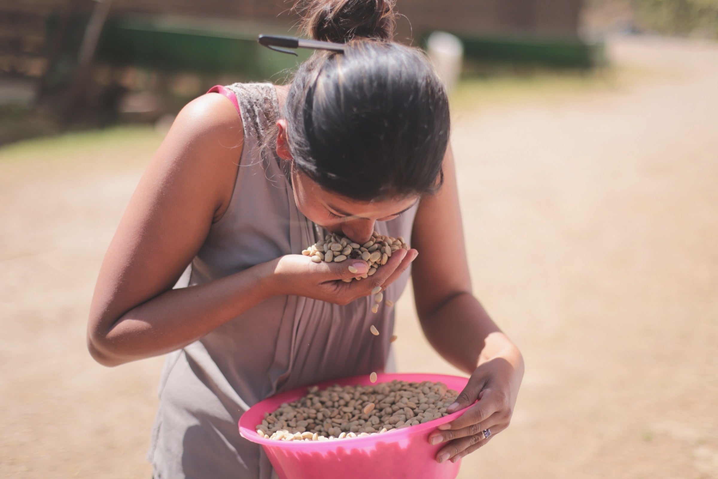 A Sabio Labs technician checking an experimental ferment at origin, Nicaragua.