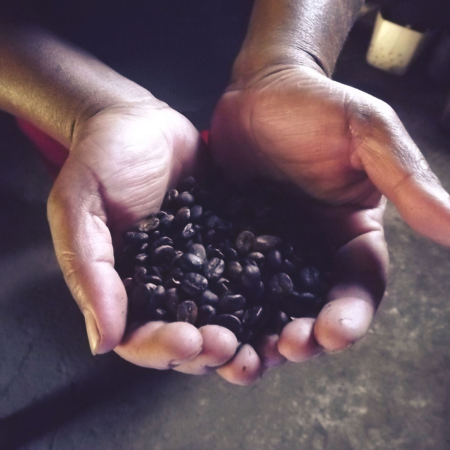 Augustine-Picture-Change-by-1-1